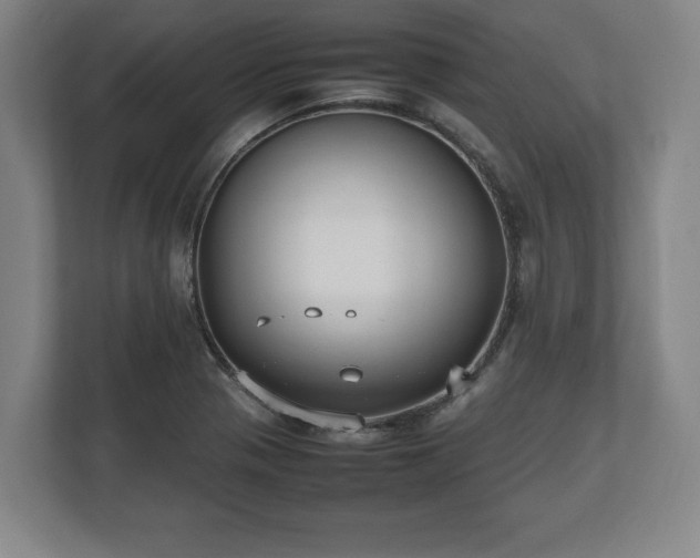 X0000112531321200908241459