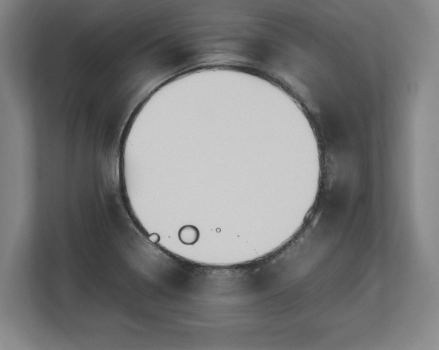 X0000112531322200908241459