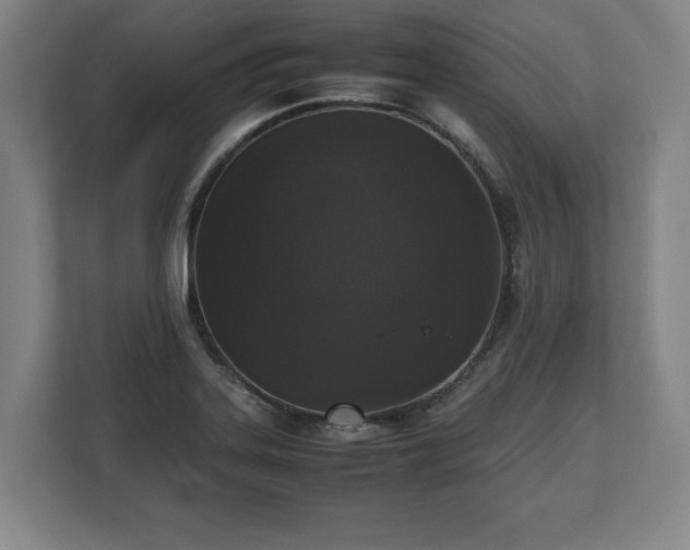 X0000112531323200908241459