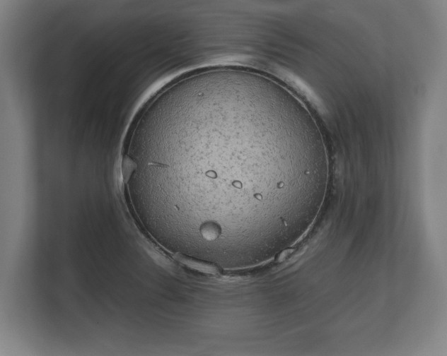 X0000112531324200908241459