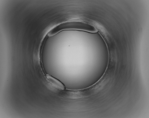X0000112531328200908241459
