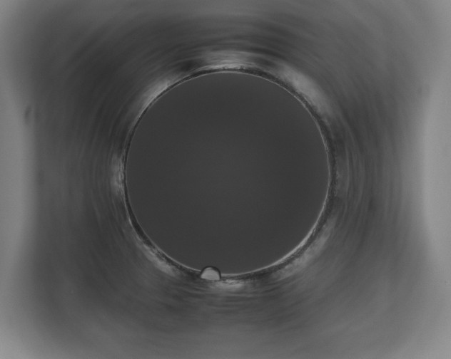 X0000112531329200908241459