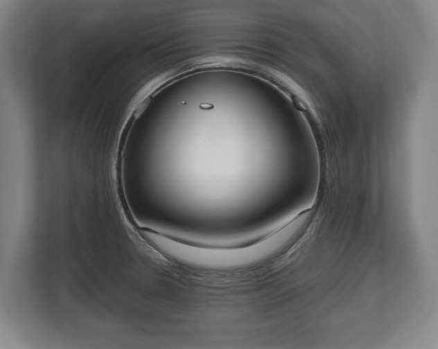 X0000112531330200908241459