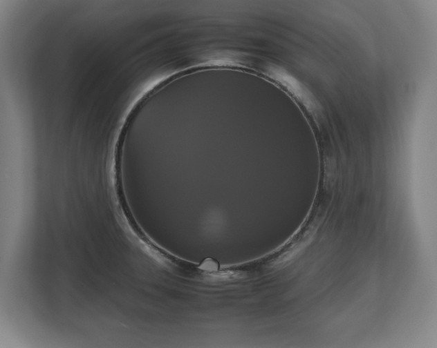 X0000112531331200908241459