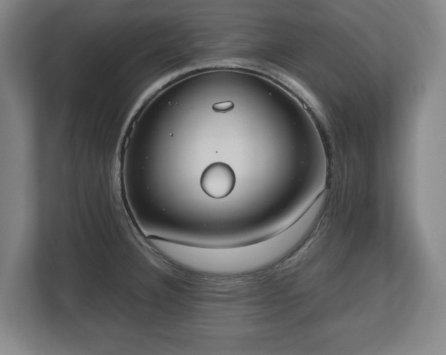 X0000112531332200908241459