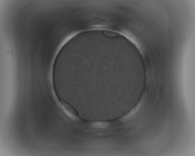 X0000112531333200908241459