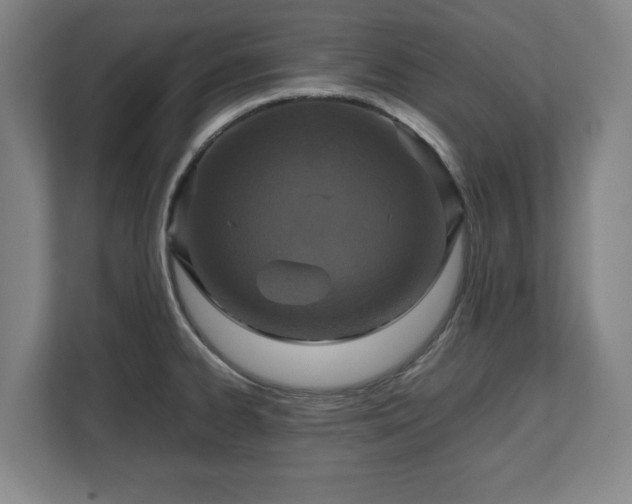 X0000112531334200908241459