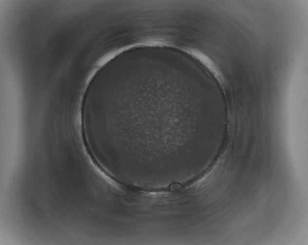 X0000112531335200908241459