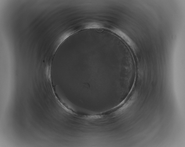 X0000112531337200908241459