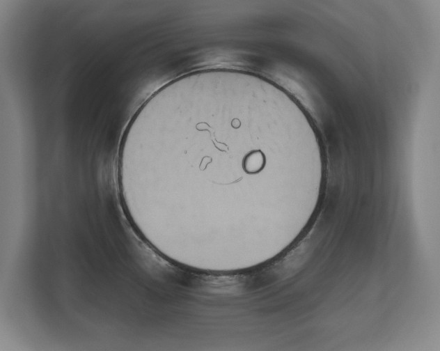 X0000112531338200908241459