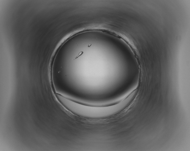 X0000112531342200908241459