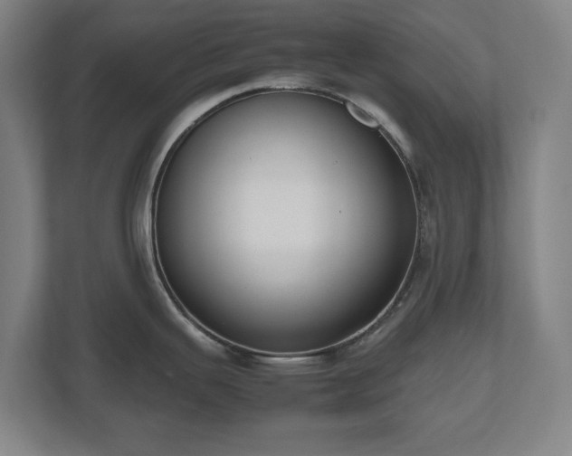 X0000112531343200908241459