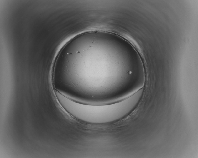 X0000112531344200908241459
