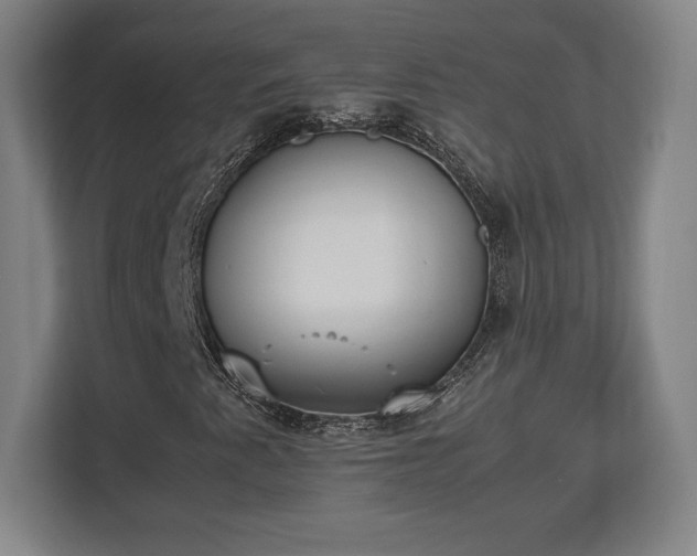 X0000112531345200908241458