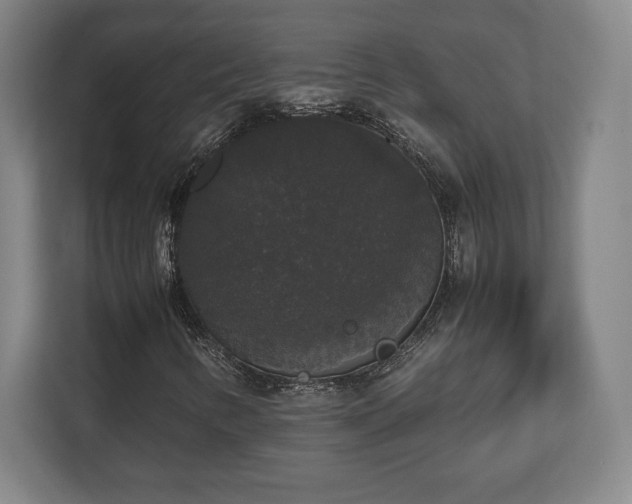 X0000112531346200908241458