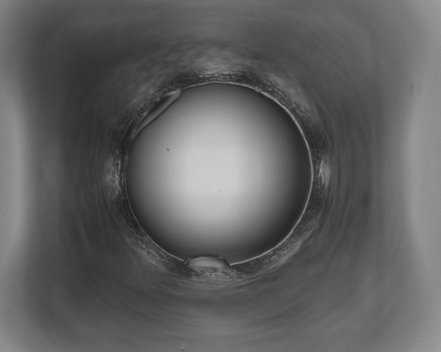 X0000112531348200908241458
