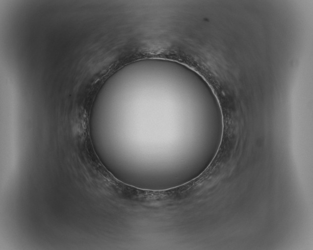 X0000112531349200908241458