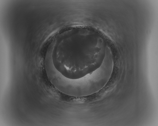 X0000112531351200908241458