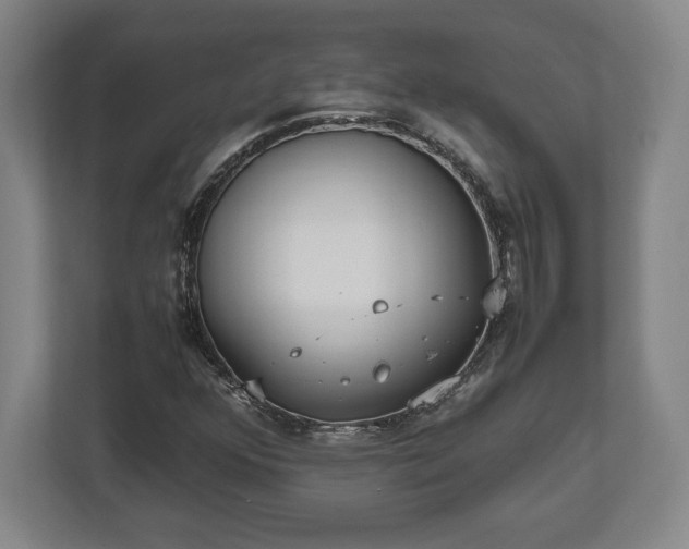 X0000112531352200908241458