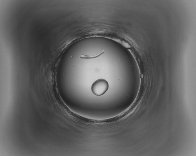 X0000112531353200908241458