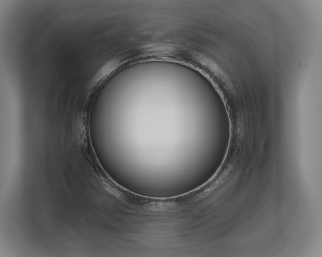 X0000112531354200908241458