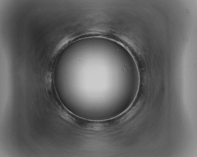 X0000112531355200908241458
