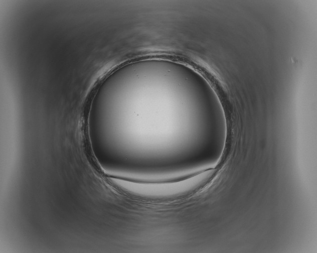 X0000112531357200908241458