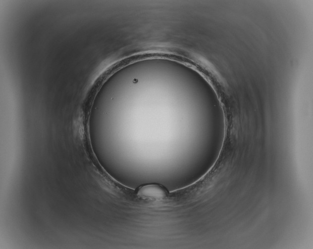 X0000112531360200908241458