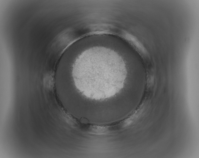 X0000112531361200908241458