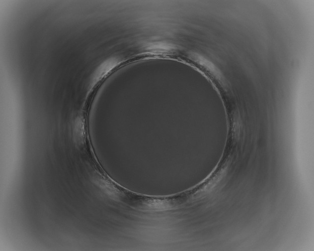X0000112531362200908241458