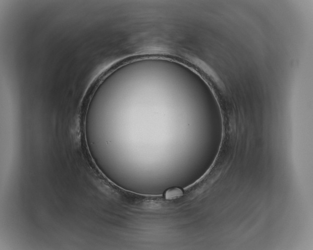 X0000112531364200908241458