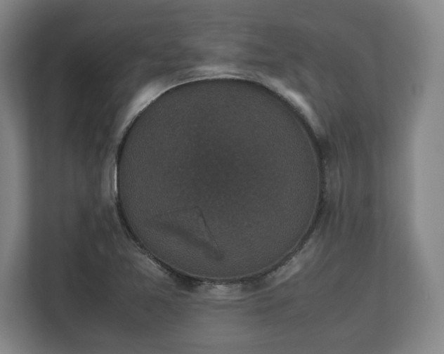 X0000112531365200908241458