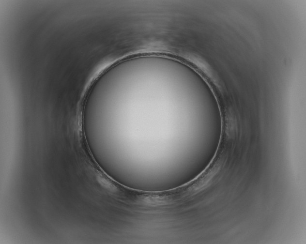 X0000112531366200908241458