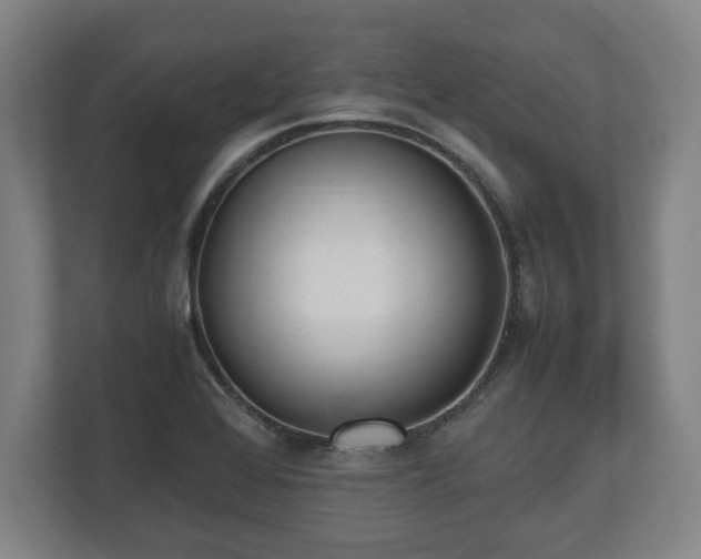 X0000112531368200908241458