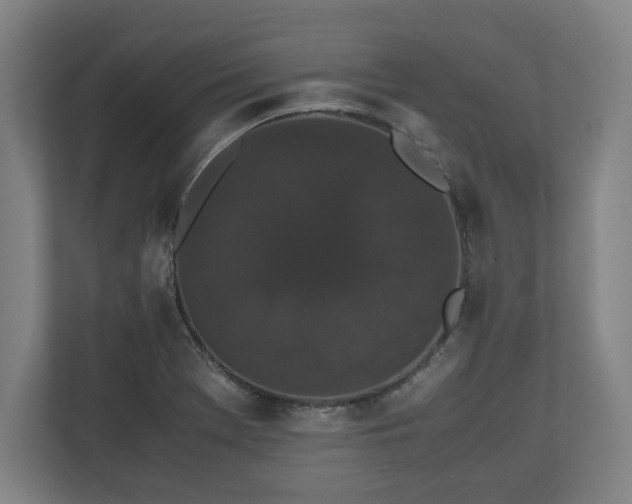 X0000112531369200908241458