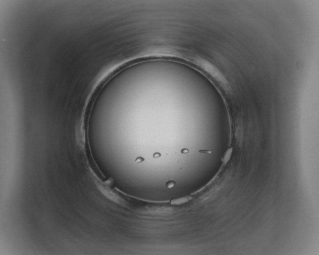 X0000112531372200908241458