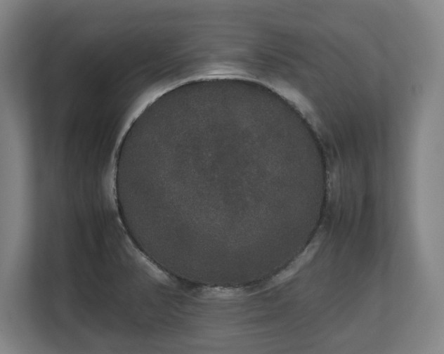 X0000112531374200908241458