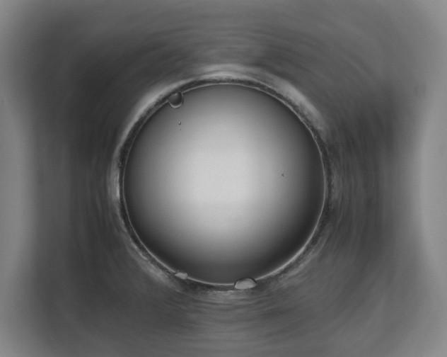 X0000112531376200908241458