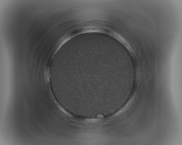 X0000112531377200908241458