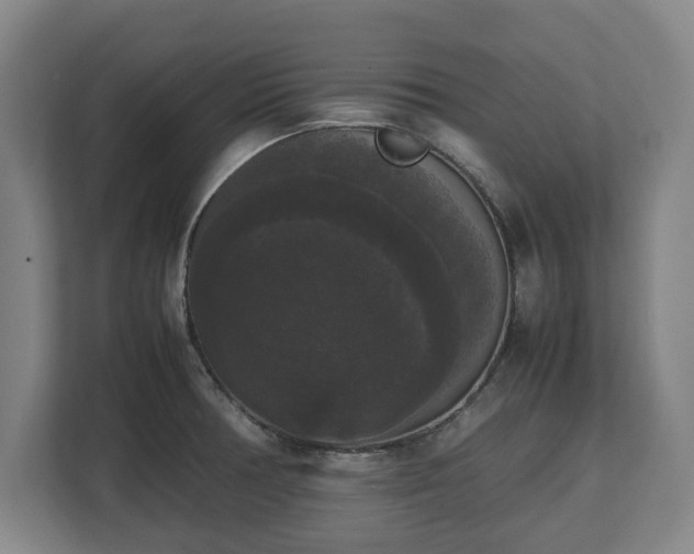 X0000112531378200908241458