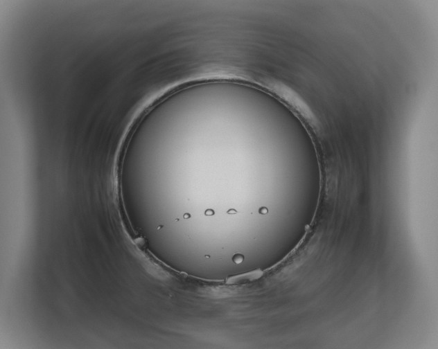 X0000112531380200908241458