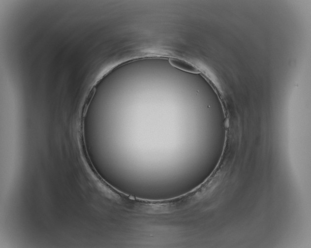 X0000112531381200908241458