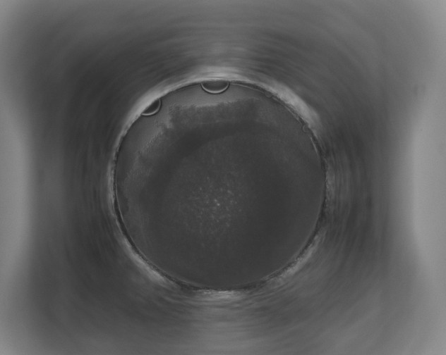X0000112531382200908241458