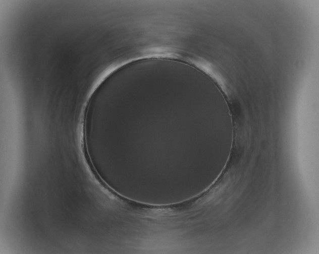 X0000112531383200908241458