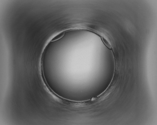 X0000112531387200908241458