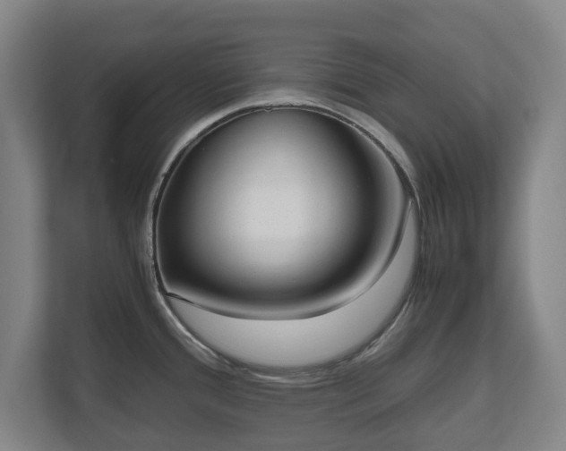 X0000112531388200908241458