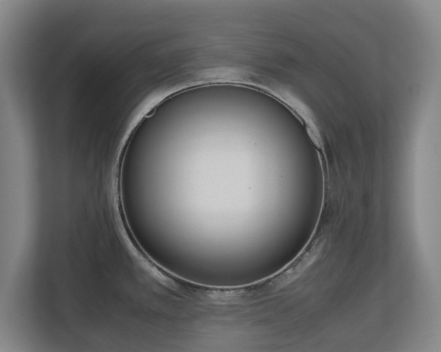 X0000112531389200908241458