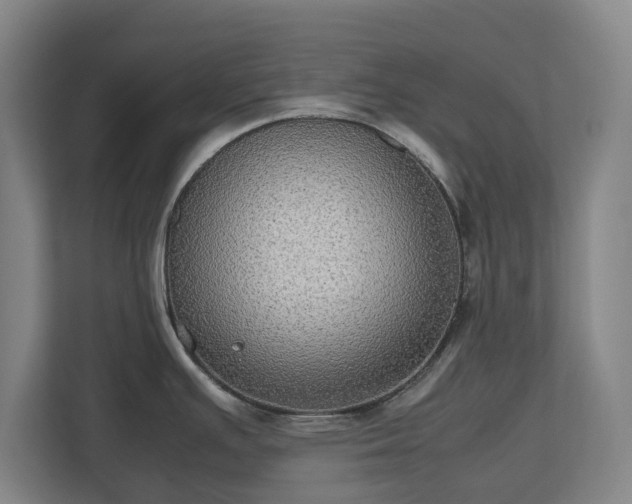 X0000112531391200908241458