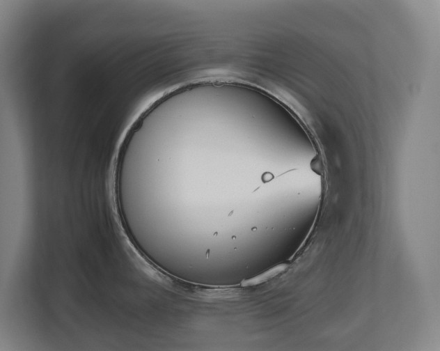 X0000112531392200908241458