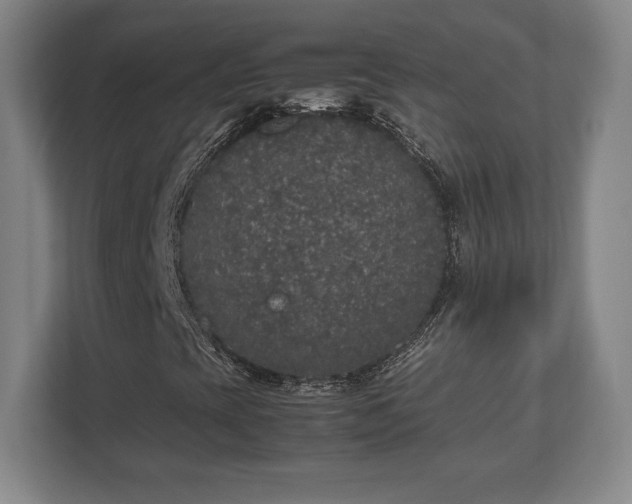 X0000112531393200908241457